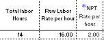 Raw rate of $16/hr  plus $2/hr NPT